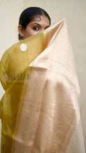 Load image into Gallery viewer, OLIVE GREEN AND BEIGE TISSUE SILK SAREE TSA24-3 - NEITEE