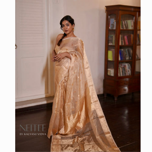 LIGHT BEIGE GOLD TISSUE SAREE TSA24-5 - NEITEE