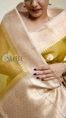 OLIVE GREEN AND BEIGE TISSUE SILK SAREE TSA24-3 - NEITEE