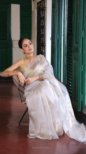 IVORY ORGANZA SILK SAREE OSO24-3 - NEITEE